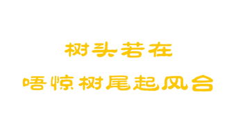 数字娱乐浪潮下的双子星 唯觅互娱与天骐互娱的差异化生存之道